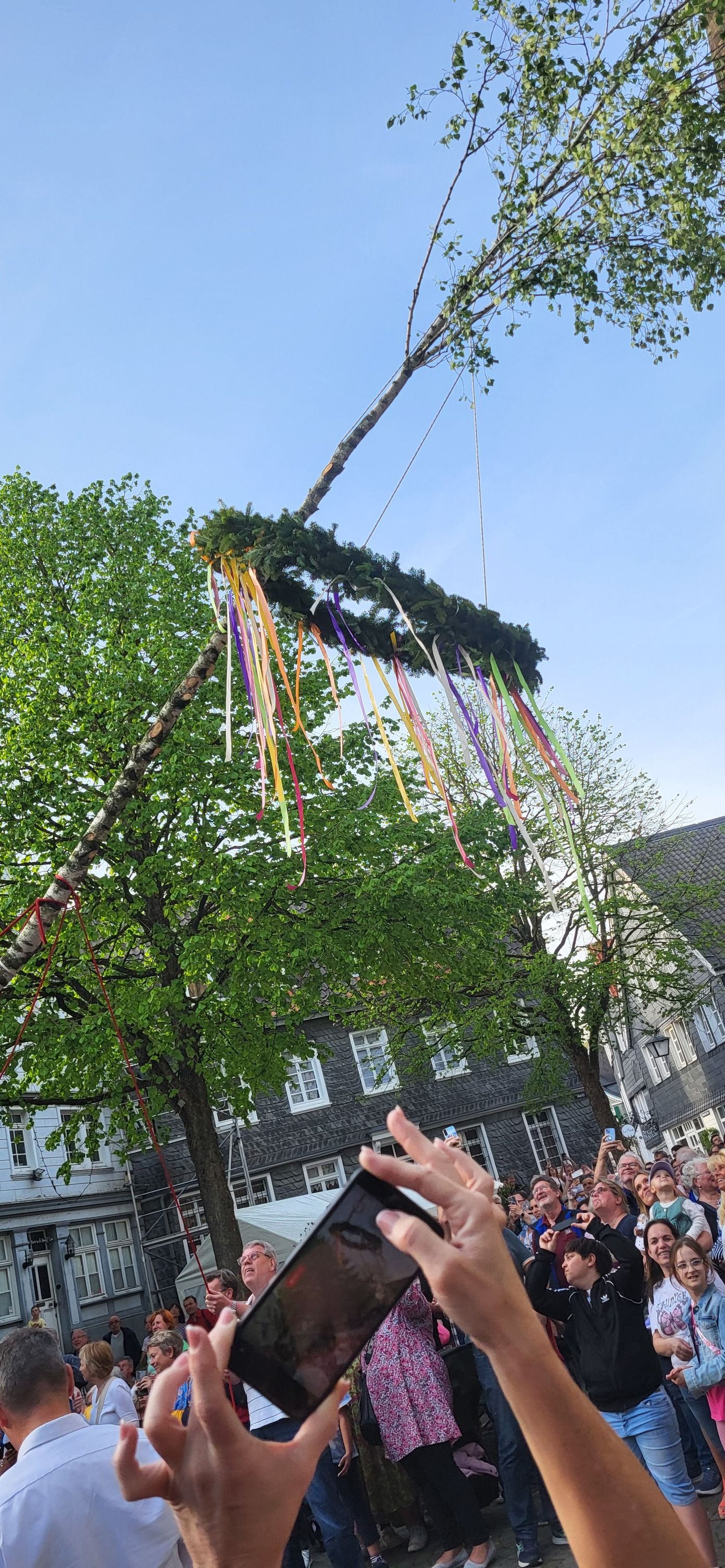 016 Maibaum 01 05 2024 2