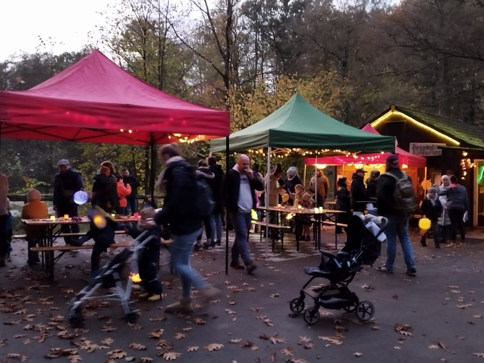 Lichterfest 02 11 2024 5